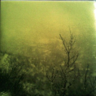 Lything