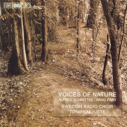 Voices of Nature