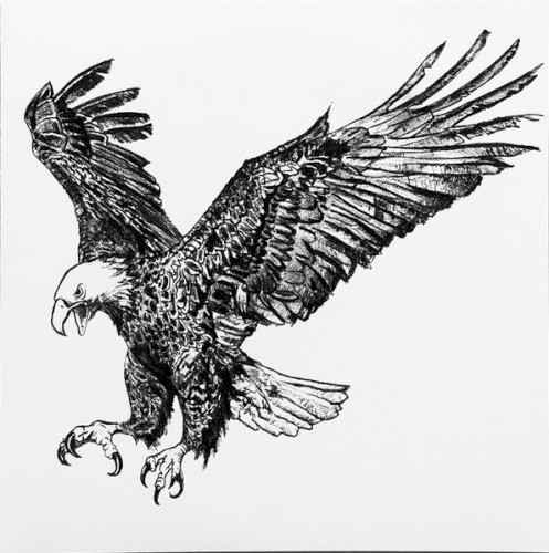 The Eagle And The Scorpion