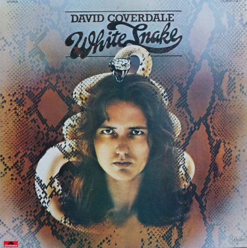 Whitesnake