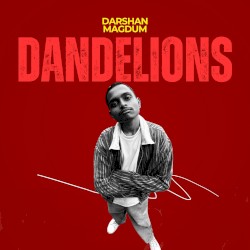 Dandelions