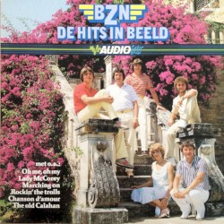 De hits in beeld