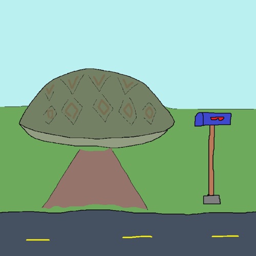 Dear Turtle Friend
