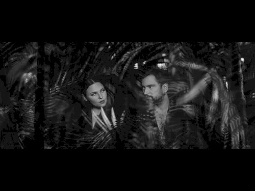 Džiunglių tamsoj