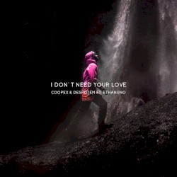 I Don't Need Your Love