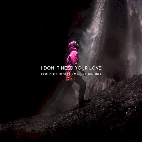 I Don't Need Your Love