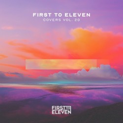 Covers, Vol. 20