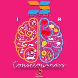 Consciousness