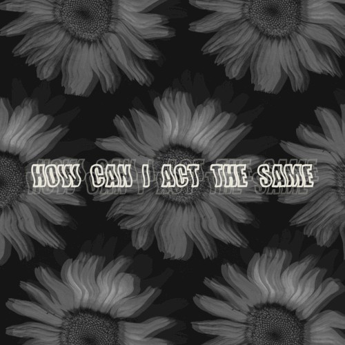 How Can I Act The Same?