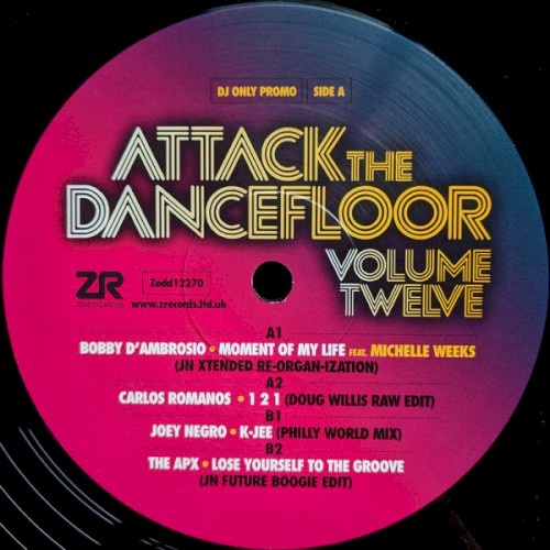 Attack The Dancefloor Volume Twelve