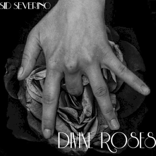 Divine Roses