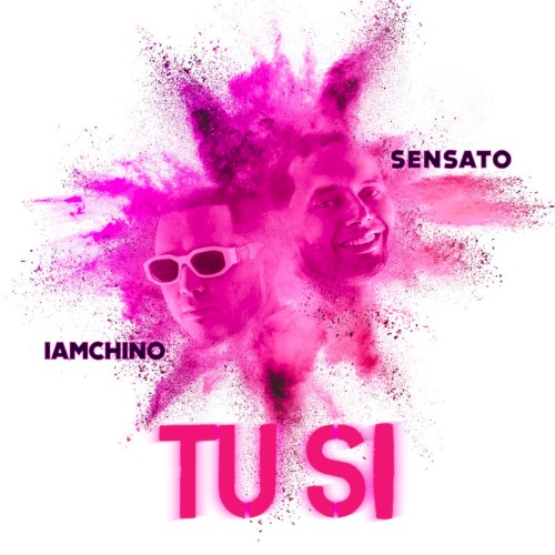 Tú sí