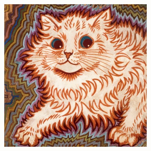 Cat Noise Wall
