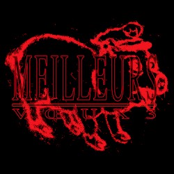 MEILLEURS VŒUX III