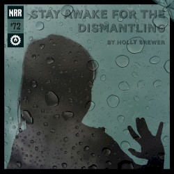 Stay Awake for the Dismantling (Garage mix)