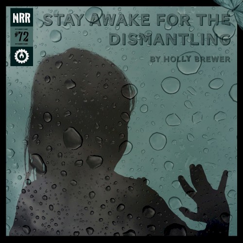 Stay Awake for the Dismantling (Garage mix)