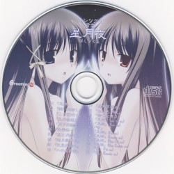 ホシツグヨ 音盤 星月夜 -ほしづくよ-