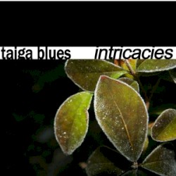 Intricacies