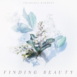 Finding Beauty