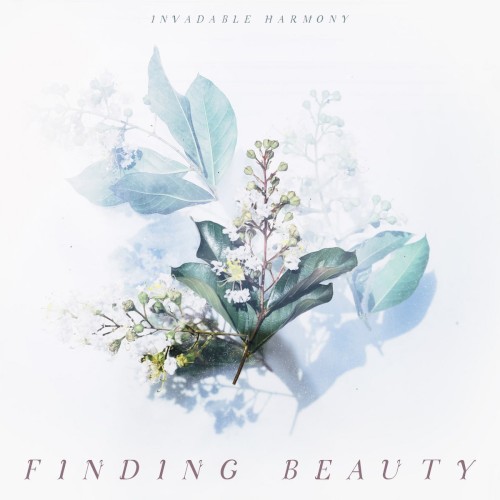 Finding Beauty