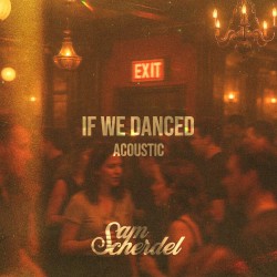 If We Danced (acoustic)
