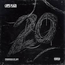 20