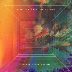 Forever / Captivator