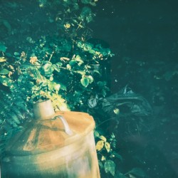 Allotment Tapes #2 - The Lungs of the City (with Steven Vitale)