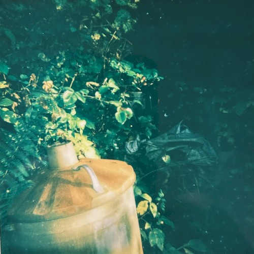 Allotment Tapes #2 - The Lungs of the City (with Steven Vitale)