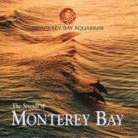 Sounds of Monterey Bay (binaural 3D Stereo)