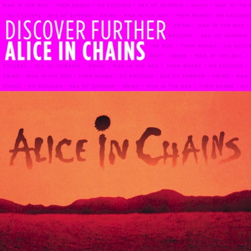 Discover Further