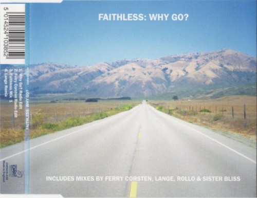 Why Go?