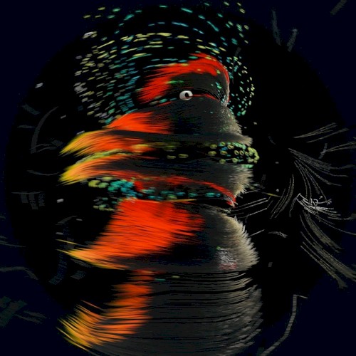 Nijiiro Waaludo