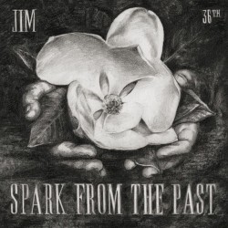 Spark From The Past LP