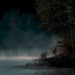 The Stillness