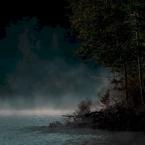 The Stillness