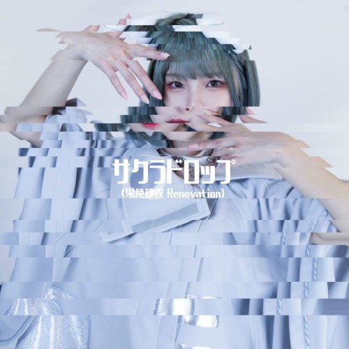 サクラドロップ (栄免建設Renovation)