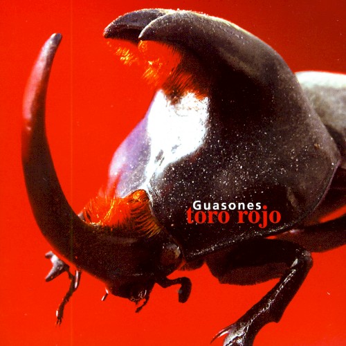 Toro rojo
