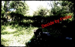 (GSD demos)
