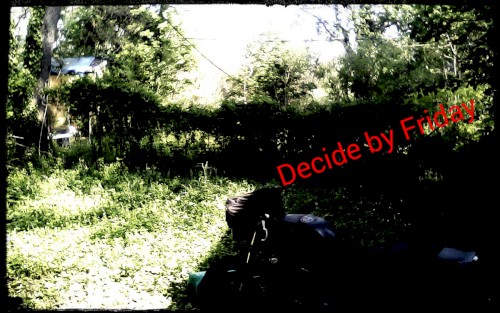 (GSD demos)