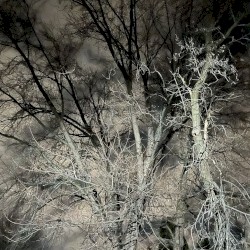 sky hollow