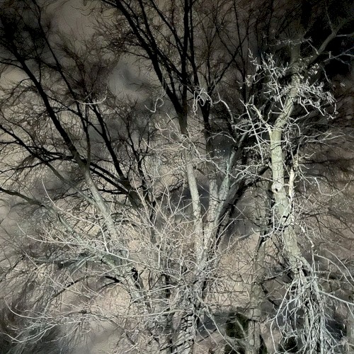 sky hollow
