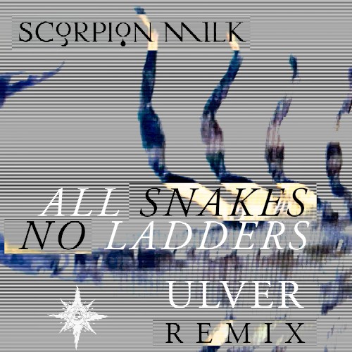 All Snakes No Ladders (Ulver remix)