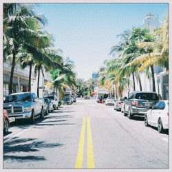Sunny Roads