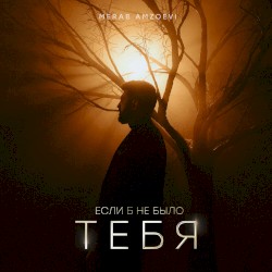 Если б не было тебя
