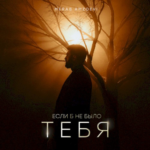Если б не было тебя