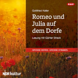 Romeo und Julia auf dem Dorfe