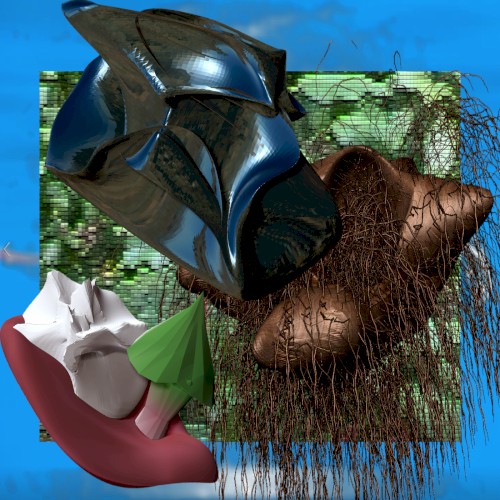 Meeting Room + Rare Plants