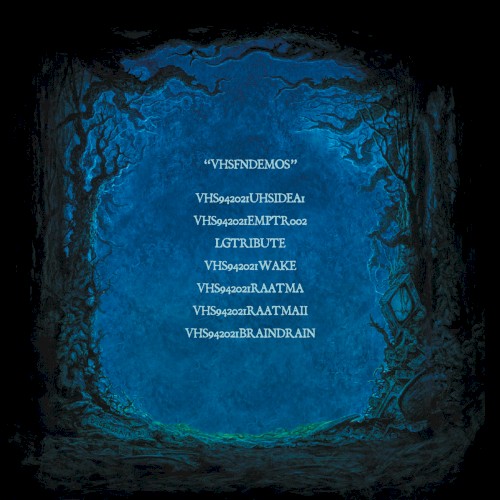 VHSFNDEMOS