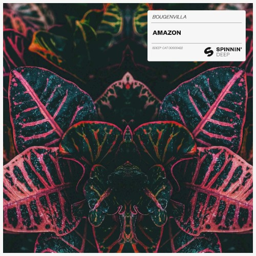 Amazon
